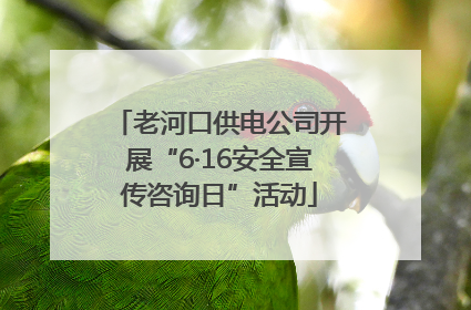 老河口供电公司开展“6·16安全宣传咨询日”活动