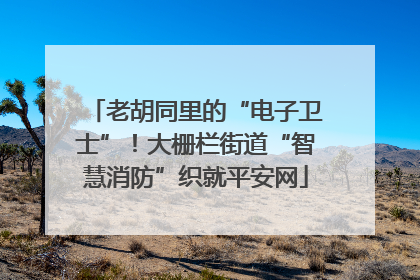 老胡同里的“电子卫士”！大栅栏街道“智慧消防”织就平安网