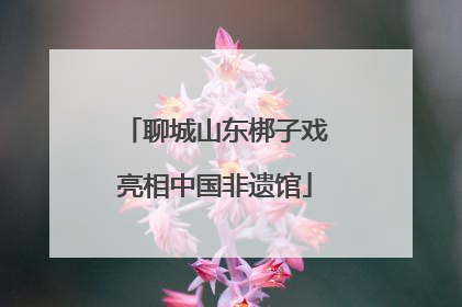 聊城山东梆子戏亮相中国非遗馆