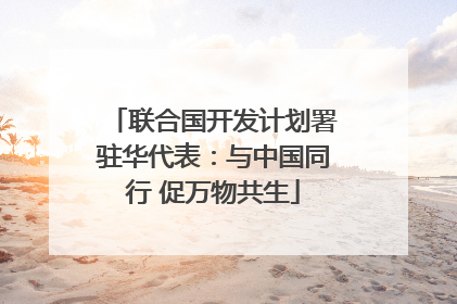 联合国开发计划署驻华代表：与中国同行 促万物共生