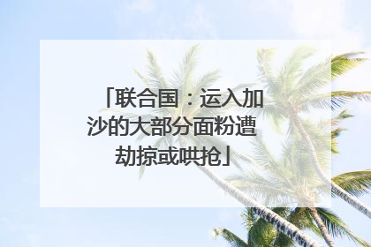 联合国：运入加沙的大部分面粉遭劫掠或哄抢