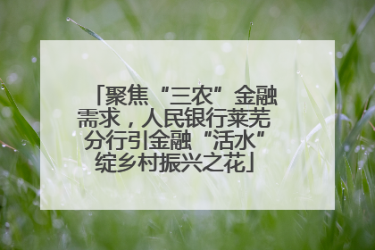 聚焦“三农”金融需求，人民银行莱芜分行引金融“活水”绽乡村振兴之花