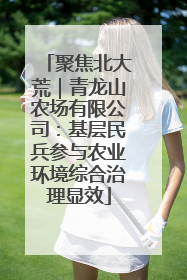 聚焦北大荒｜青龙山农场有限公司：基层民兵参与农业环境综合治理显效