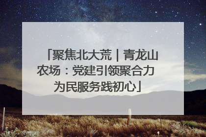 聚焦北大荒｜青龙山农场：党建引领聚合力 为民服务践初心