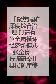 聚焦尾矿深度综合治理 打造有色金属循环经济新模式 张金良一行调研栾川县尾矿库综合治理工作