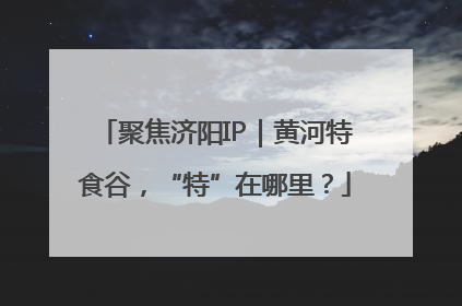 聚焦济阳IP｜黄河特食谷，“特”在哪里？