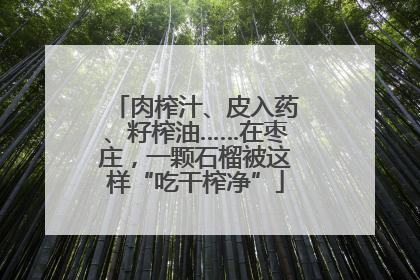 肉榨汁、皮入药、籽榨油……在枣庄，一颗石榴被这样“吃干榨净”
