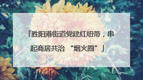 胜阳港街道党建红纽带，串起商居共治 “烟火圈”