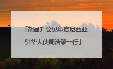 胡昌升会见印度尼西亚驻华大使周浩黎一行
