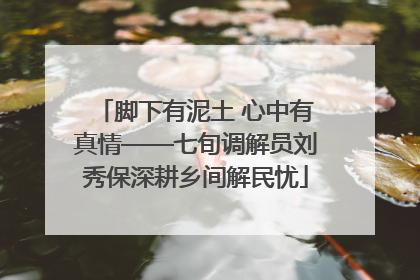脚下有泥土 心中有真情——七旬调解员刘秀保深耕乡间解民忧