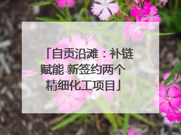 自贡沿滩：补链赋能 新签约两个精细化工项目
