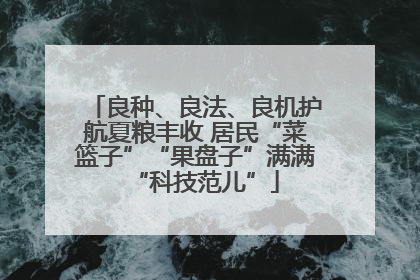 良种、良法、良机护航夏粮丰收 居民“菜篮子”“果盘子”满满“科技范儿”