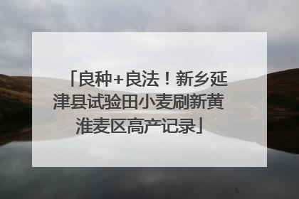 良种+良法！新乡延津县试验田小麦刷新黄淮麦区高产记录