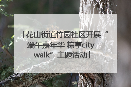 花山街道竹园社区开展“端午嘉年华 粽享city walk”主题活动
