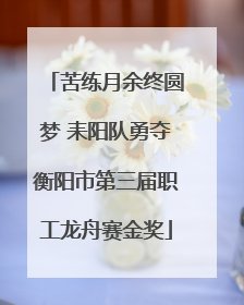 苦练月余终圆梦 耒阳队勇夺衡阳市第三届职工龙舟赛金奖