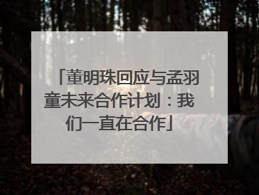 董明珠回应与孟羽童未来合作计划：我们一直在合作