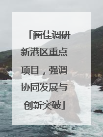 蔺佳调研新港区重点项目，强调协同发展与创新突破