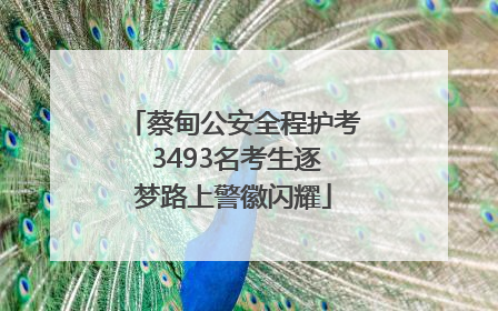 蔡甸公安全程护考 3493名考生逐梦路上警徽闪耀
