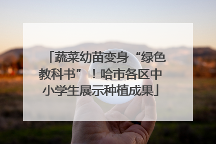 蔬菜幼苗变身“绿色教科书”！哈市各区中小学生展示种植成果