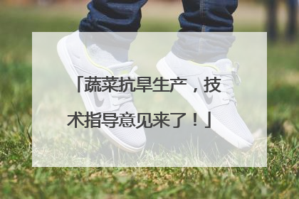 蔬菜抗旱生产，技术指导意见来了！