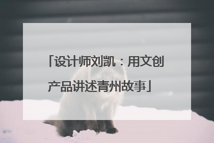 设计师刘凯：用文创产品讲述青州故事
