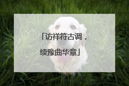 访祥符古调，续豫曲华章