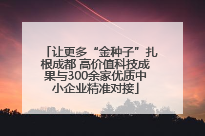 让更多“金种子”扎根成都 高价值科技成果与300余家优质中小企业精准对接
