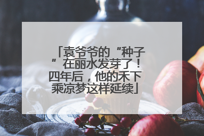 袁爷爷的“种子”在丽水发芽了！四年后，他的禾下乘凉梦这样延续