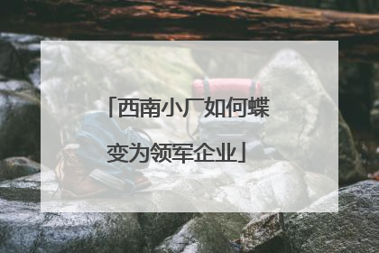 西南小厂如何蝶变为领军企业