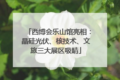 西博会乐山馆亮相：晶硅光伏、核技术、文旅三大展区吸睛