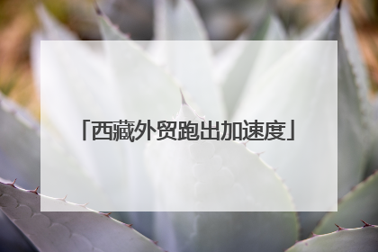 西藏外贸跑出加速度