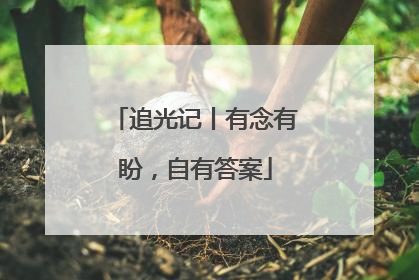 追光记丨有念有盼，自有答案