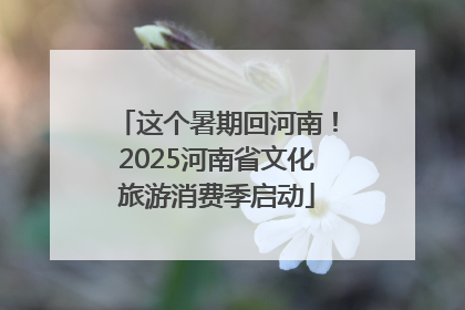 这个暑期回河南！2025河南省文化旅游消费季启动