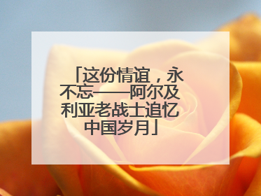 这份情谊，永不忘——阿尔及利亚老战士追忆中国岁月