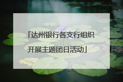 达州银行各支行组织开展主题团日活动