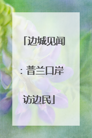 边城见闻：普兰口岸访边民