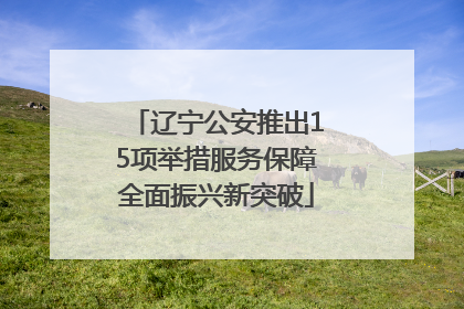辽宁公安推出15项举措服务保障全面振兴新突破