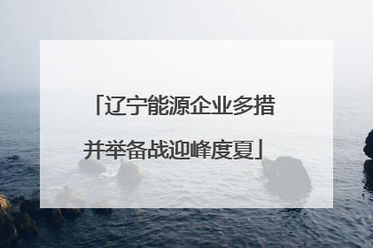 辽宁能源企业多措并举备战迎峰度夏