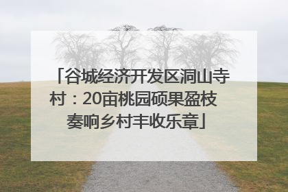 谷城经济开发区洞山寺村：20亩桃园硕果盈枝 奏响乡村丰收乐章