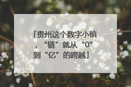 贵州这个数字小镇，“链”就从“0”到“亿”的跨越