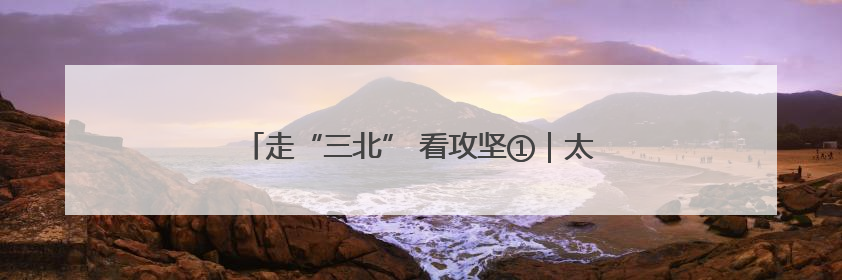 走“三北” 看攻坚①｜太行披“绿装” 连翘药茶香