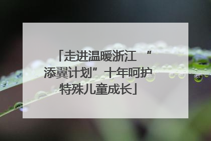 走进温暖浙江 “添翼计划”十年呵护特殊儿童成长