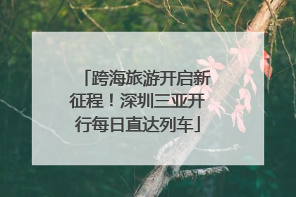 跨海旅游开启新征程！深圳三亚开行每日直达列车