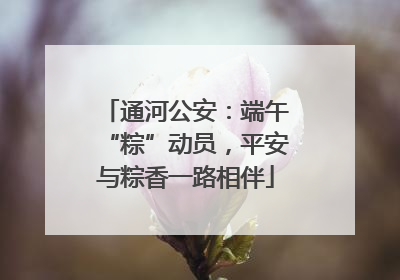 通河公安：端午“粽”动员，平安与粽香一路相伴