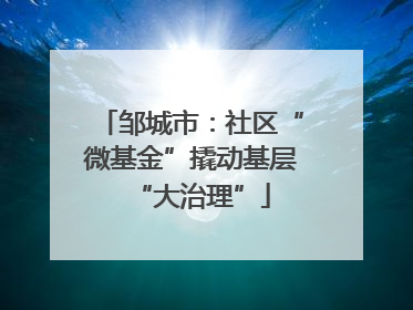 邹城市：社区“微基金”撬动基层“大治理”