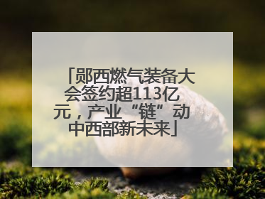 郧西燃气装备大会签约超113亿元，产业“链”动中西部新未来