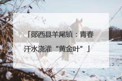 郧西县羊尾镇：青春汗水浇灌“黄金叶”