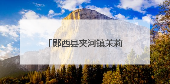 郧西县夹河镇茉莉花开好“钱景”
