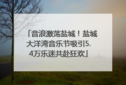 音浪激荡盐城！盐城大洋湾音乐节吸引5.4万乐迷共赴狂欢