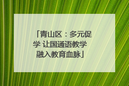 青山区:多元促学 让国通语教学融入教育血脉